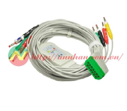 Cáp điện tim Nihon Kohden BJ-900P